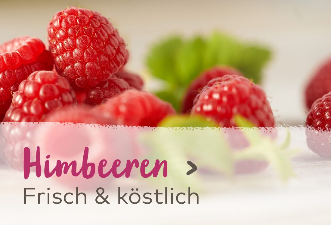 Himbeeren - Frisch & köstlich