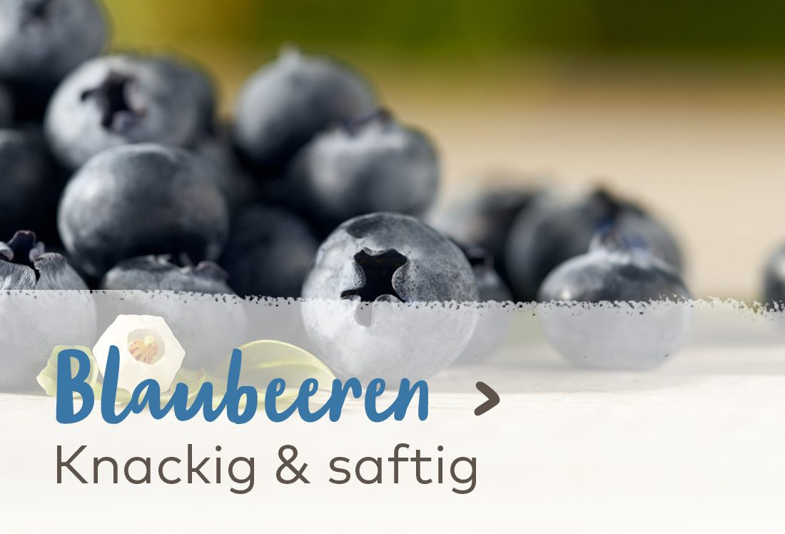 Blaubeeren - Knackig & saftig