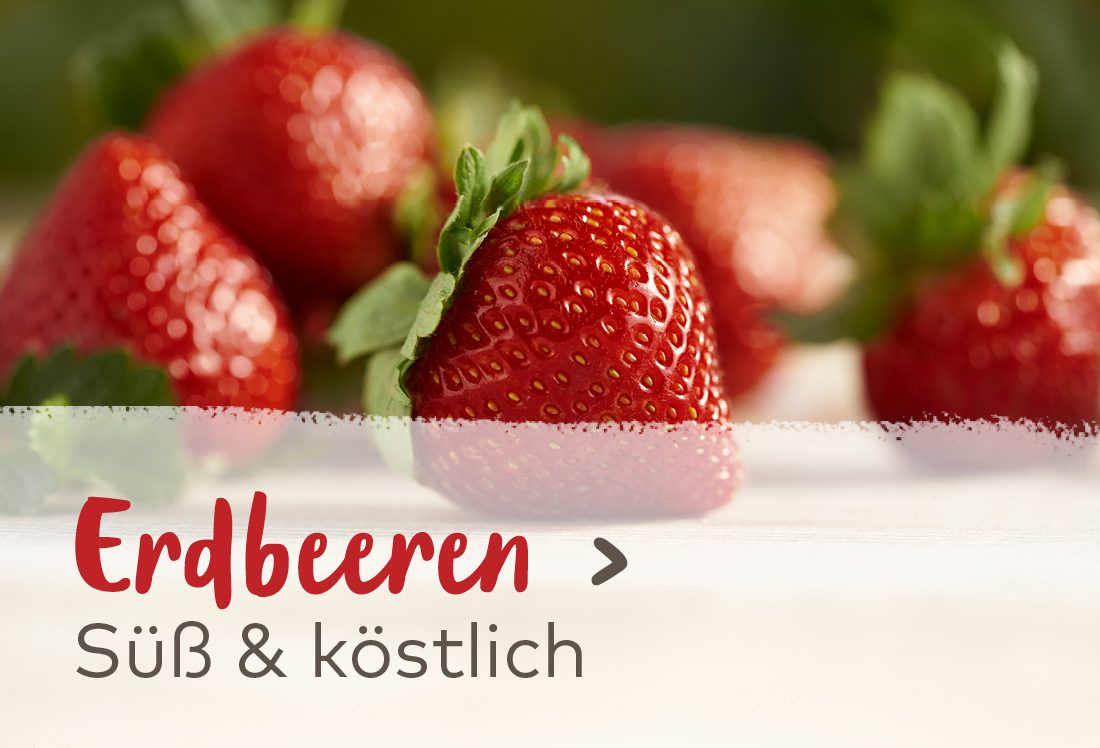 Erdbeeren - Süß & köstlich