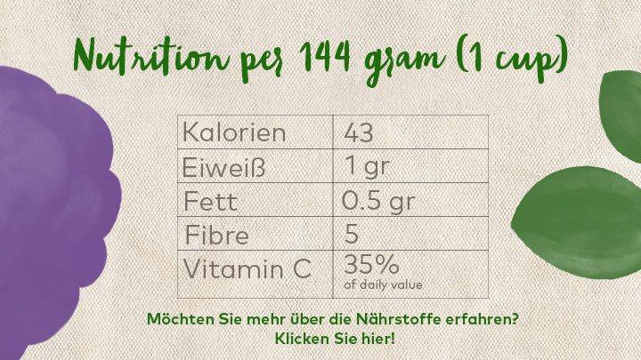 Möchten Sie mehr über die Nährstoffe erfahren