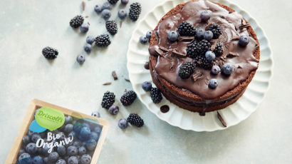 Veganer Brombeeren und Blaubeeren Schokoladenkuchen