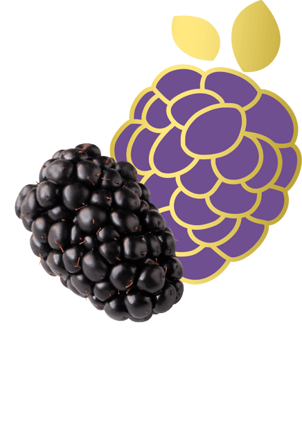 Sweetest batch tabs blackberry