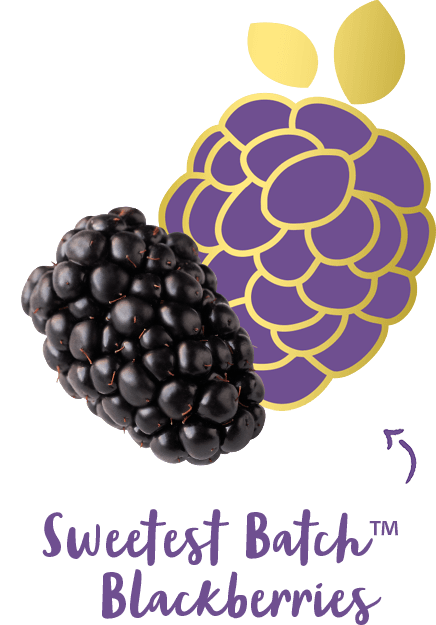 Sweetest batch tabs blackberry rollover