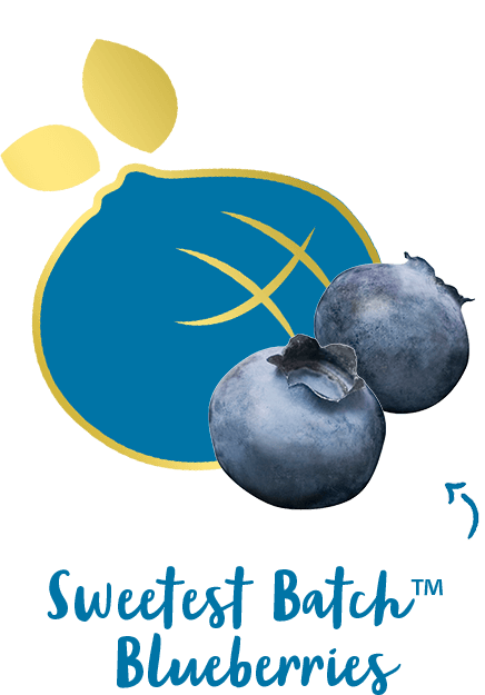 Sweetest batch tabs blueberry rollover